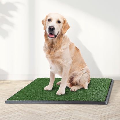 Set of 3 Replacement Turf Grass Pee Pads - Puppy Essentials